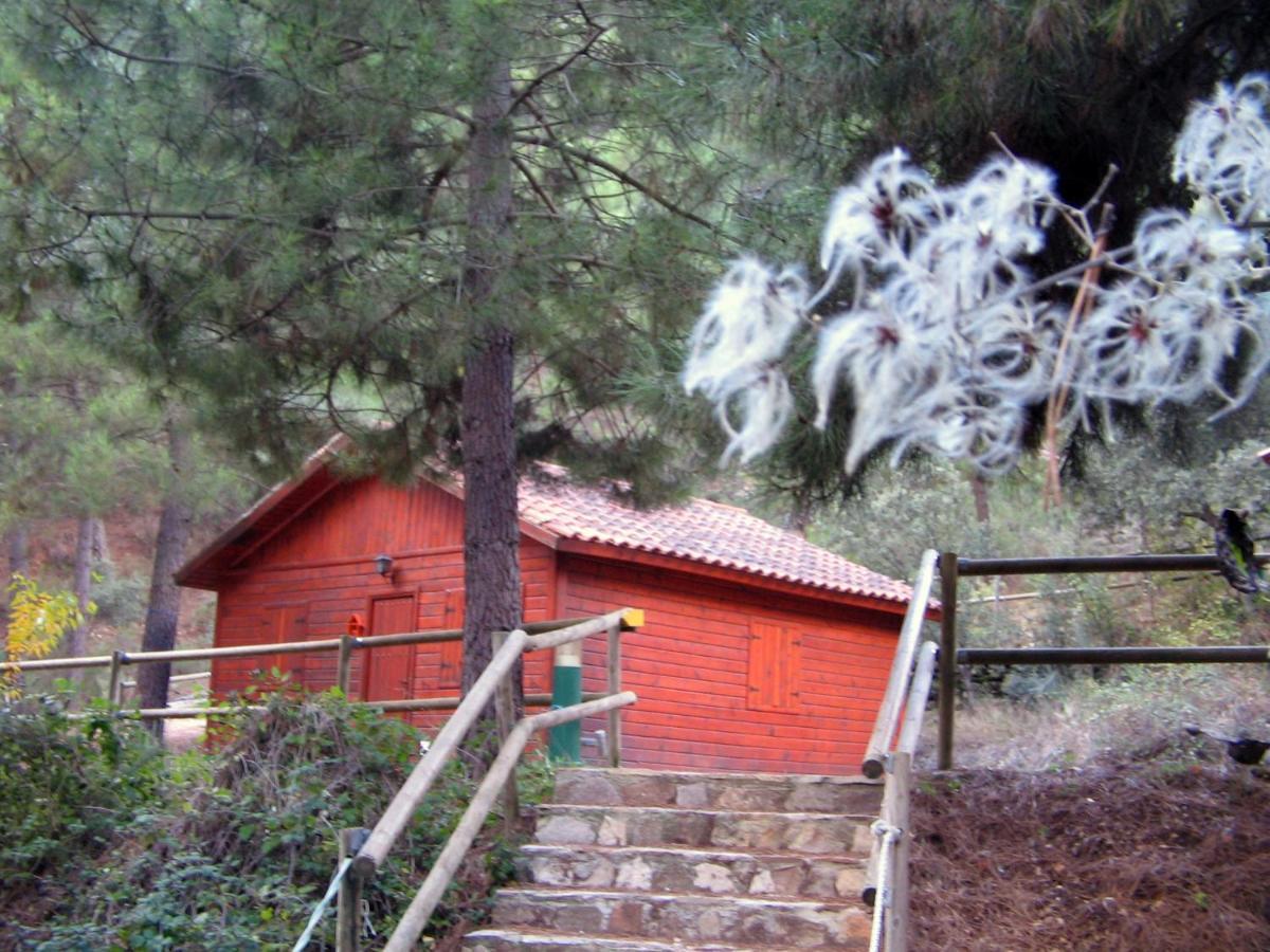 Cabanas La Toma Del Agua Riópar Exterior foto