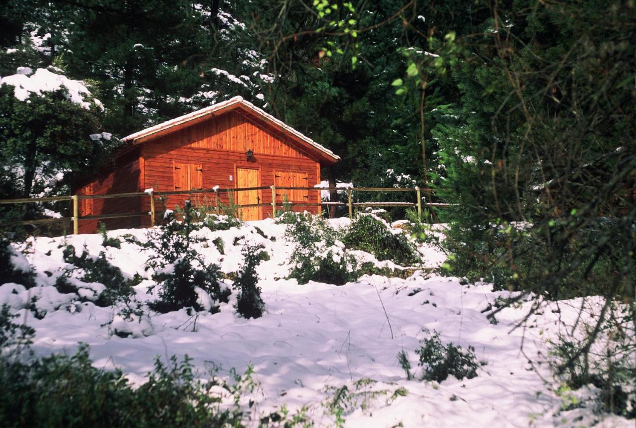 Cabanas La Toma Del Agua Riópar Exterior foto